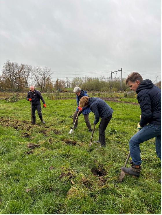 Zen.nl, Zen, meditatie, leren mediteren, boomplantdag, Zen.nl Amersfoort, vrijwilliger, natuur, stichting meerbomenplanten.nl, gesprekken, samenwerking, verbinding